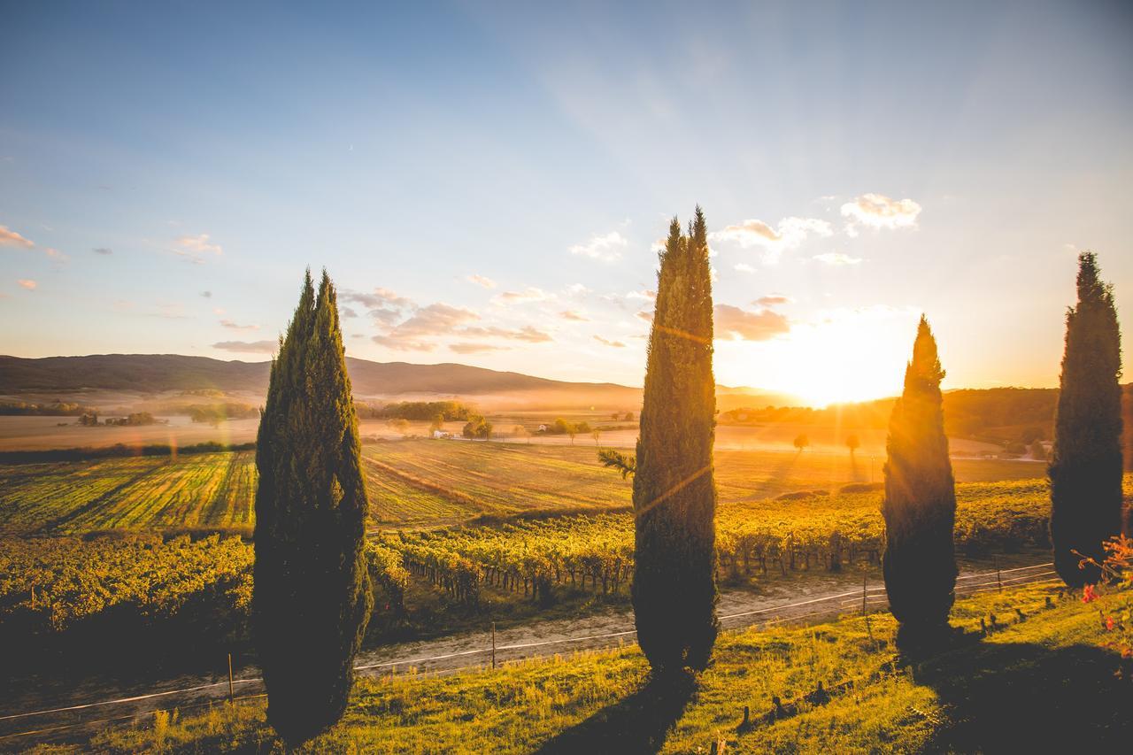 Casali di Bibbiano Villa Buonconvento Bagian luar foto